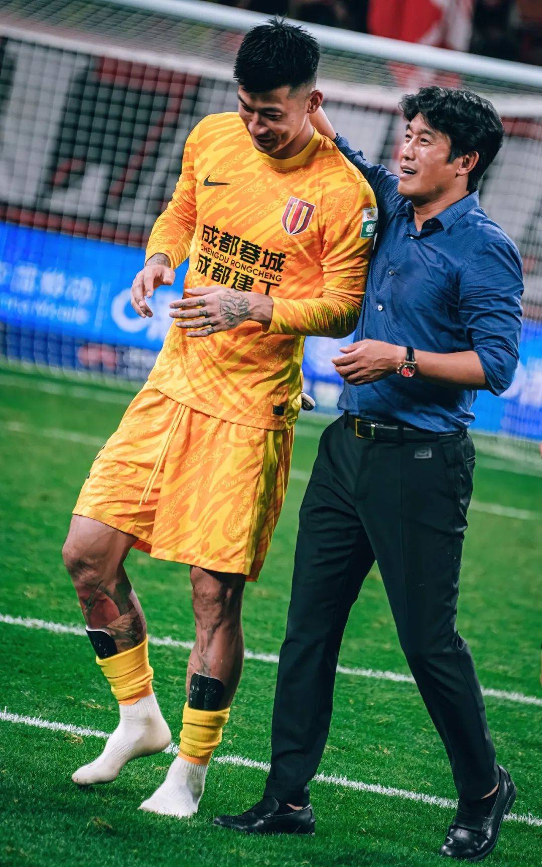 适应高水平 适应高水平